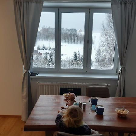 Apartman U Kunstatskeho Mlyna Orlické Záhoří Kültér fotó