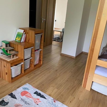 Apartman U Kunstatskeho Mlyna Orlické Záhoří Kültér fotó