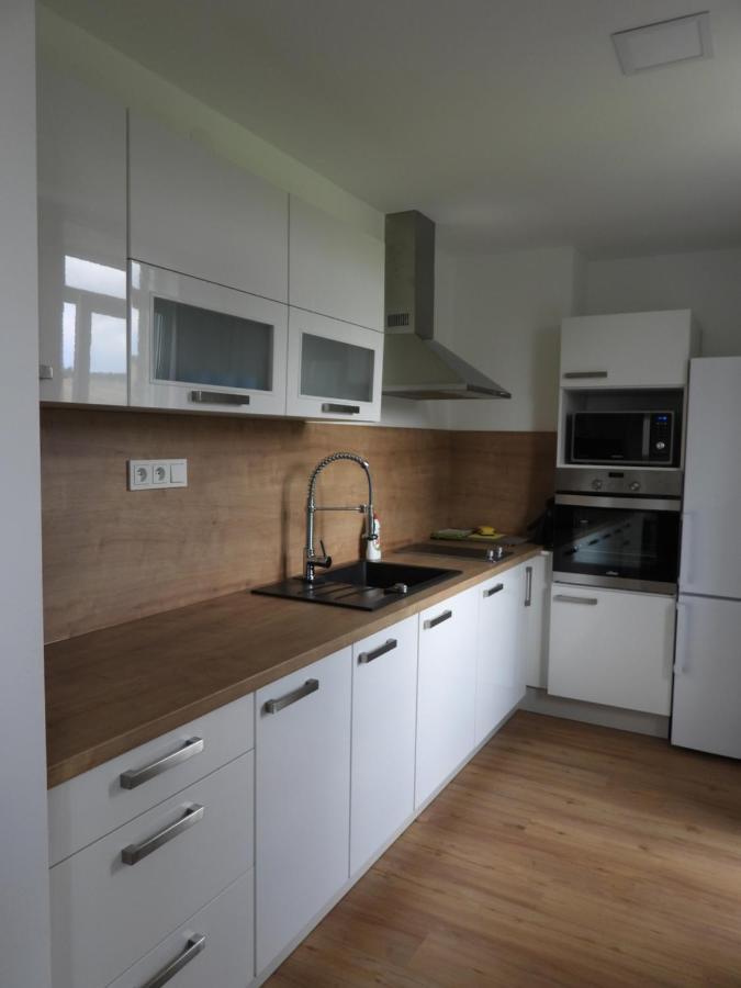 Apartman U Kunstatskeho Mlyna Orlické Záhoří Kültér fotó