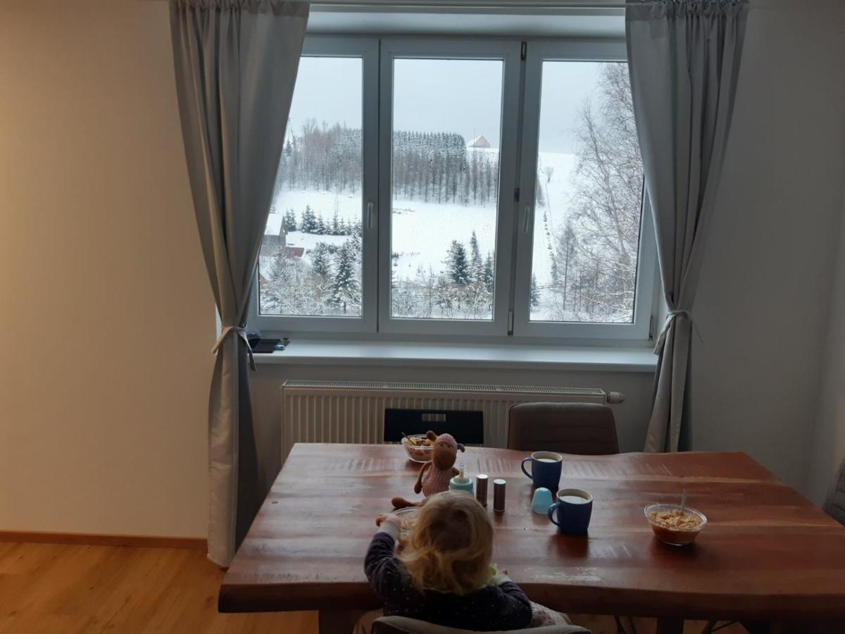 Apartman U Kunstatskeho Mlyna Orlické Záhoří Kültér fotó
