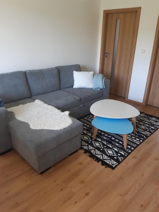 Apartman U Kunstatskeho Mlyna Orlické Záhoří Kültér fotó