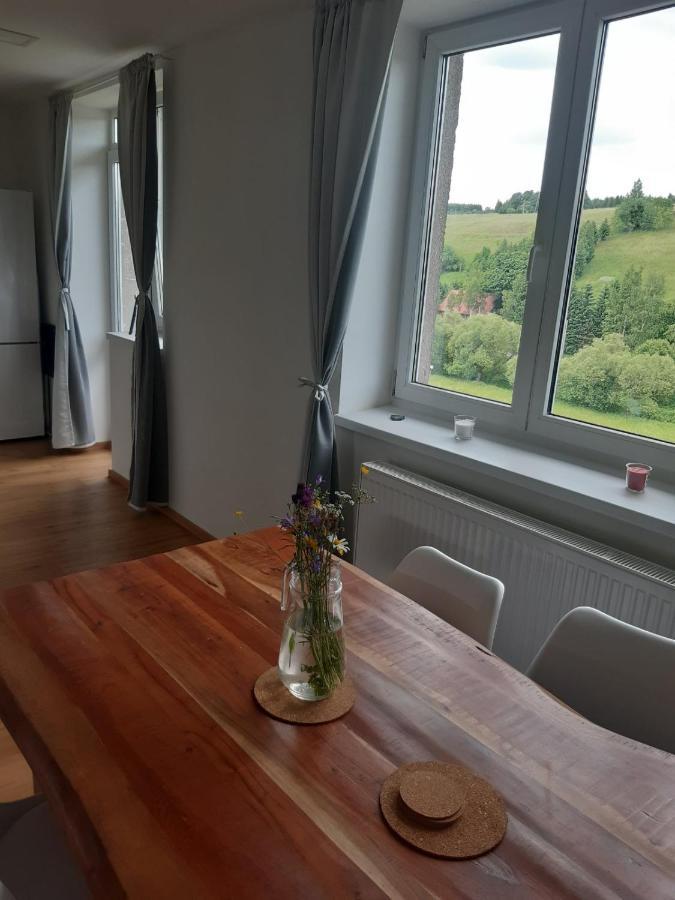Apartman U Kunstatskeho Mlyna Orlické Záhoří Kültér fotó