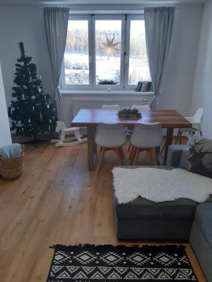 Apartman U Kunstatskeho Mlyna Orlické Záhoří Kültér fotó