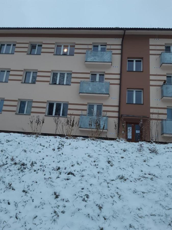 Apartman U Kunstatskeho Mlyna Orlické Záhoří Kültér fotó