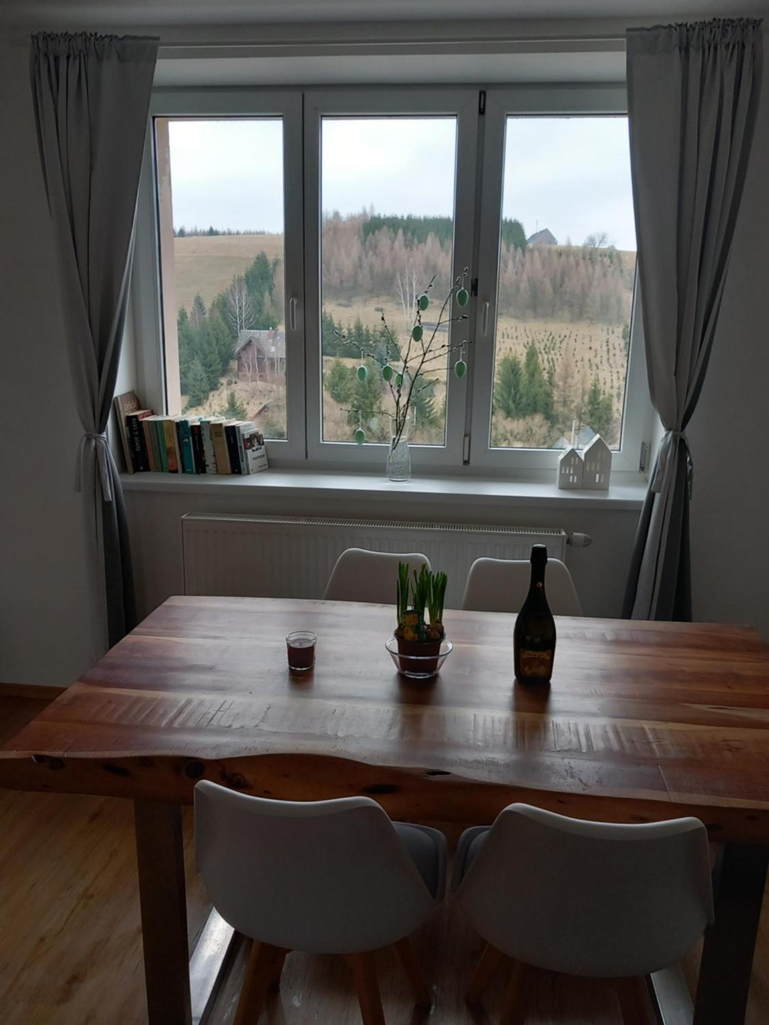 Apartman U Kunstatskeho Mlyna Orlické Záhoří Kültér fotó